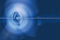 fig1fotolia48828313xl.jpg