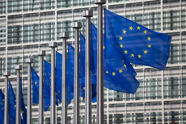119269852vlaggenvandeeuropeseunievoorhetberlaymontgebouw.jpg