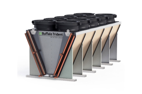 bitzerbuffalotrident_1.jpg