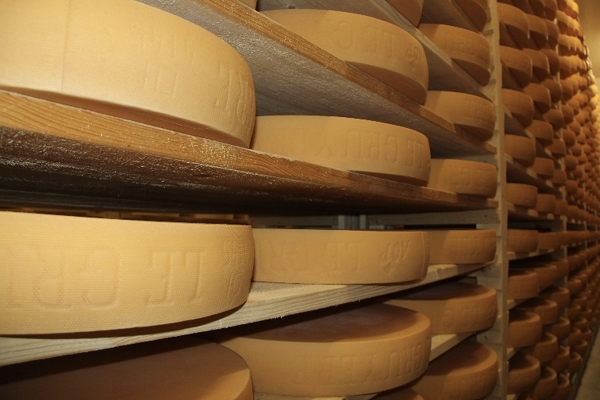 climalifefromagerie1200x800.jpg