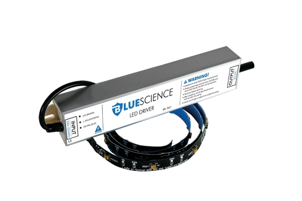 ecrbelgiumbluescience.jpg