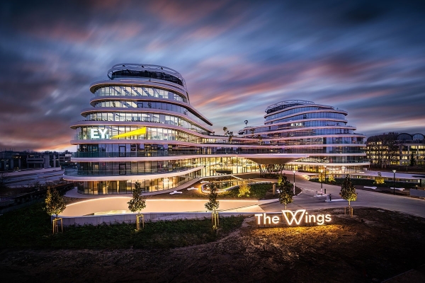 fmhbccimjcthewings.jpg