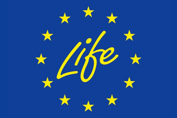 lifefrontstudie.jpg